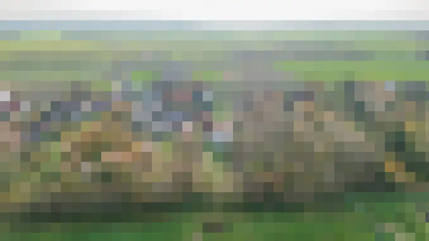 Oostdijkseweg 47 Goedereede thumbnail 58