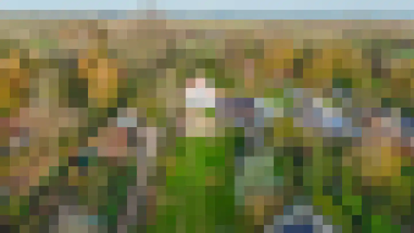 Oostdijkseweg 47 Goedereede thumbnail 59