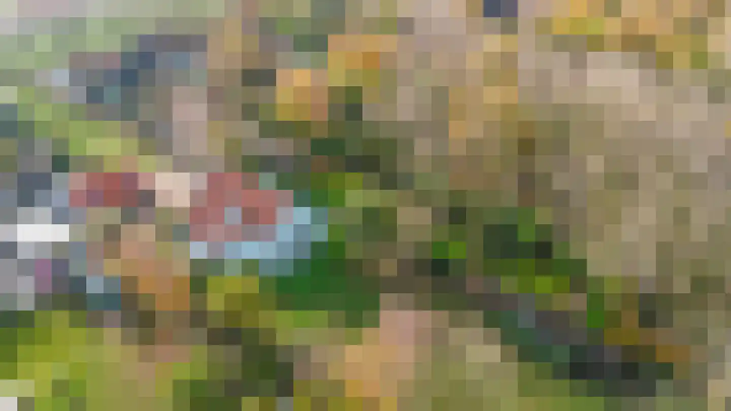 Oostdijkseweg 47 Goedereede thumbnail 61