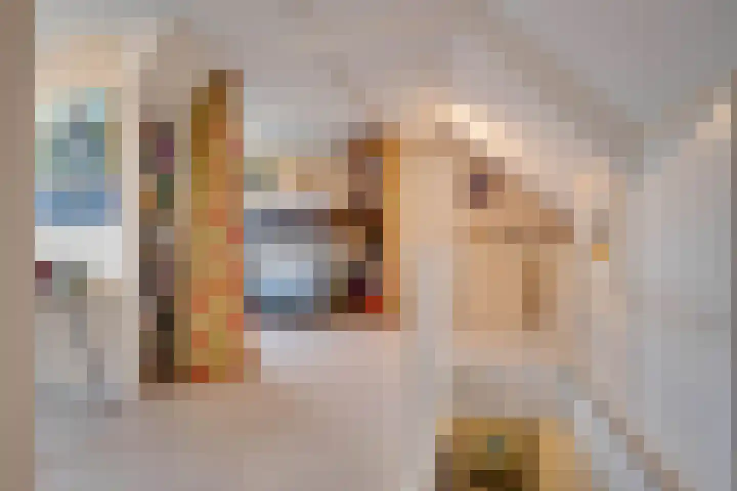 Oostdijkseweg 49 Goedereede thumbnail 12