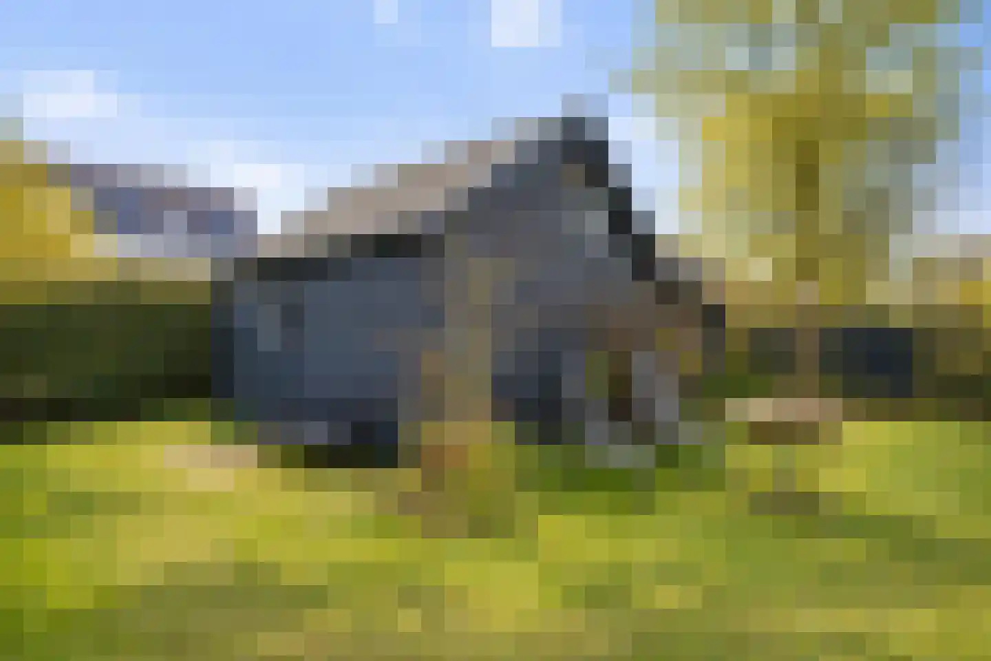 Oostdijkseweg 49 Goedereede thumbnail 19