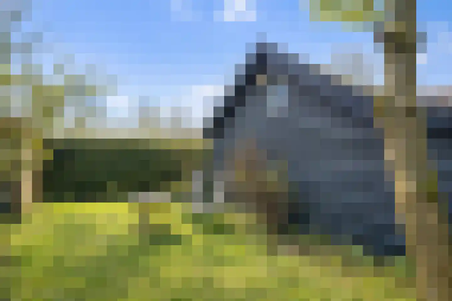 Oostdijkseweg 49 Goedereede thumbnail 23