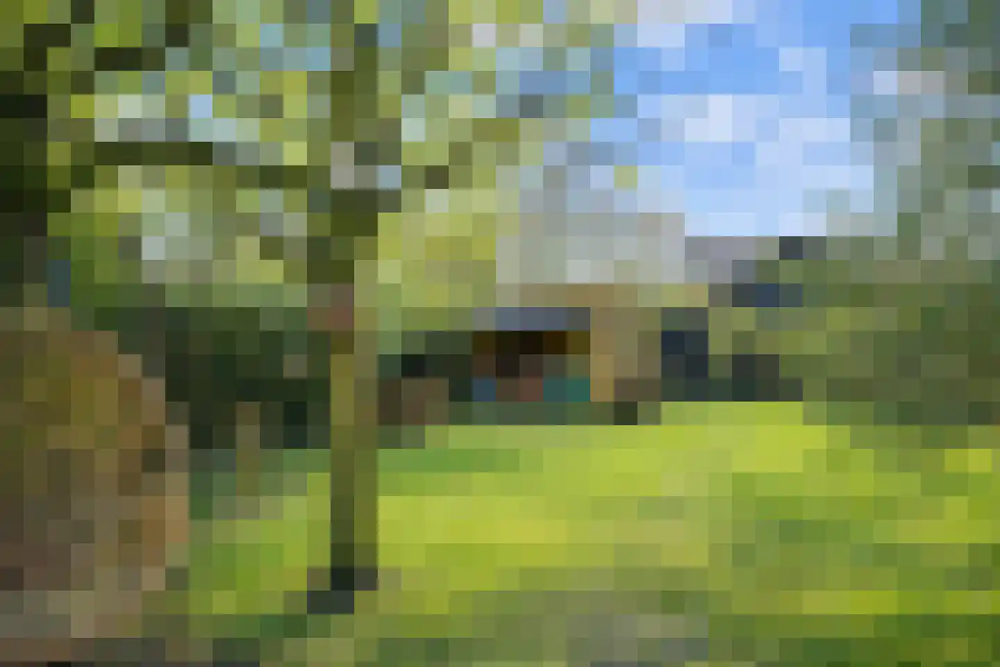 Oostdijkseweg 49 Goedereede thumbnail 25