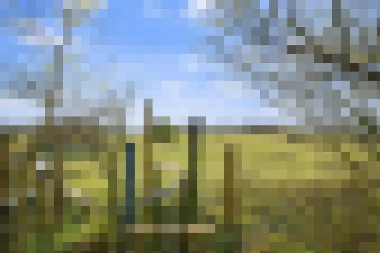 Oostdijkseweg 49 Goedereede thumbnail 29