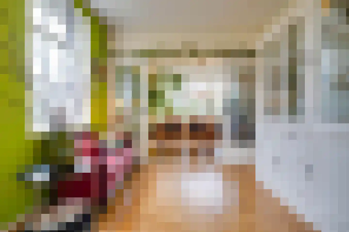 Oostdijkseweg 49 Goedereede thumbnail 8