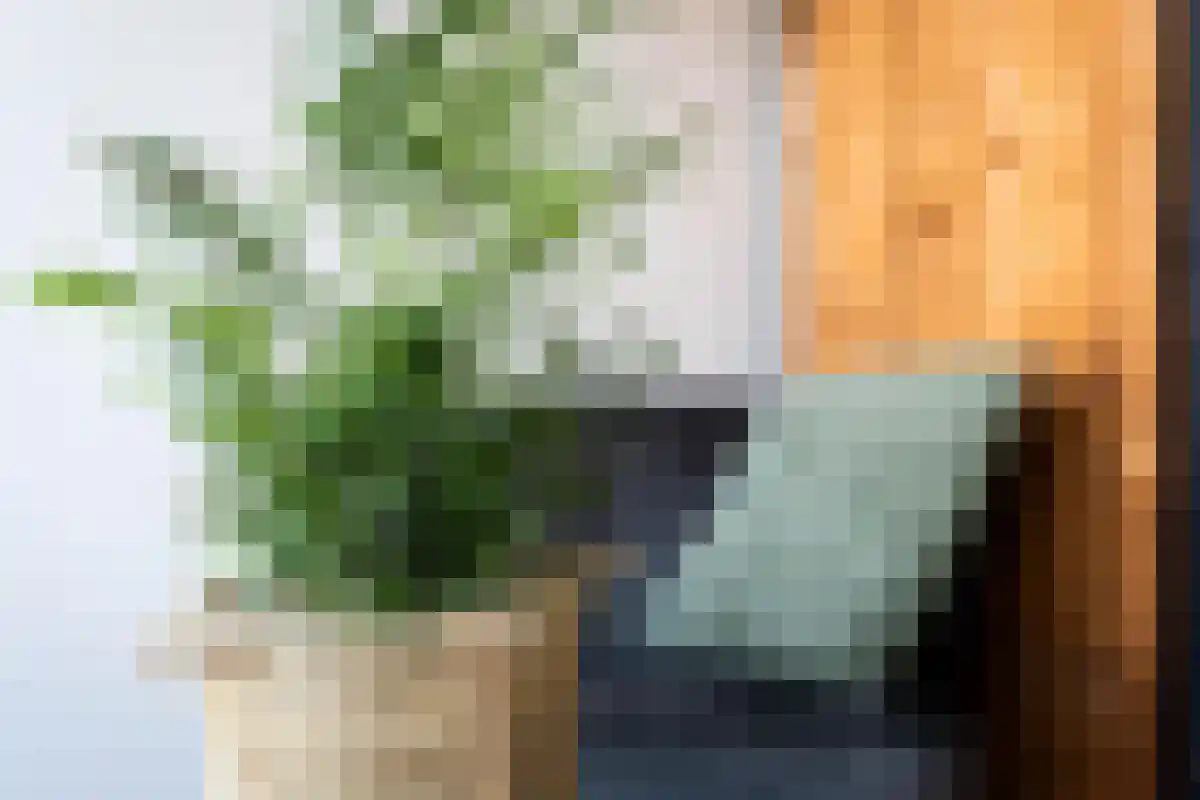 Oostdijkseweg 53 Goedereede thumbnail 6