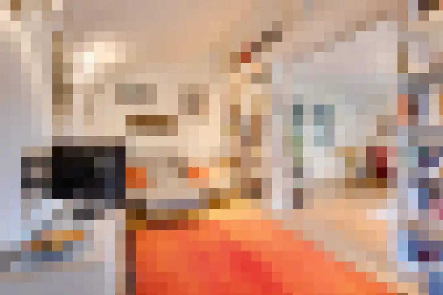 Oostdijkseweg 7 Goedereede thumbnail 13