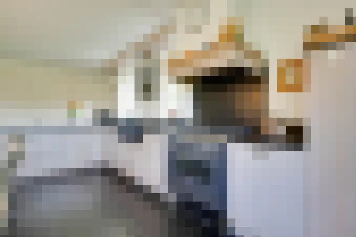 Oostdijkseweg 7 Goedereede thumbnail 19