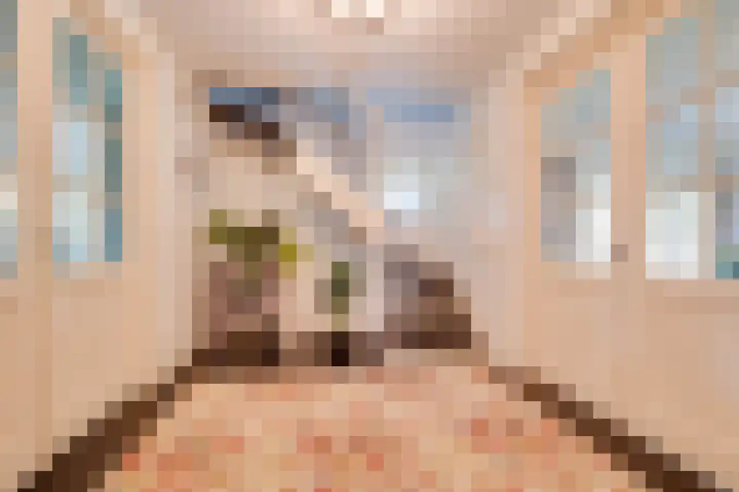 Oostdijkseweg 7 Goedereede thumbnail 21