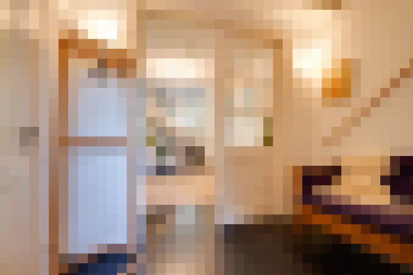 Oostdijkseweg 7 Goedereede thumbnail 22