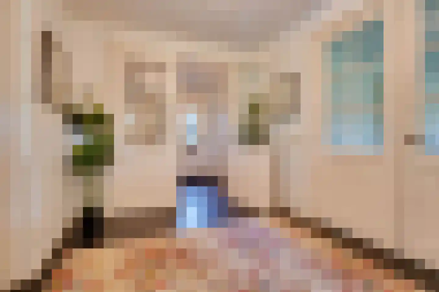 Oostdijkseweg 7 Goedereede thumbnail 23