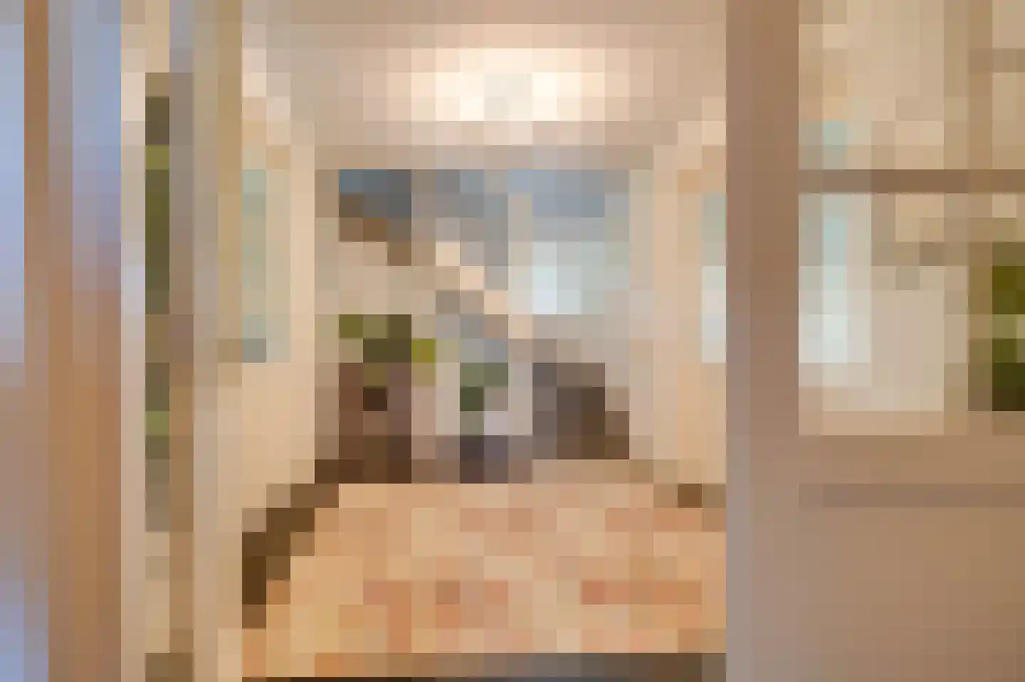 Oostdijkseweg 7 Goedereede thumbnail 24