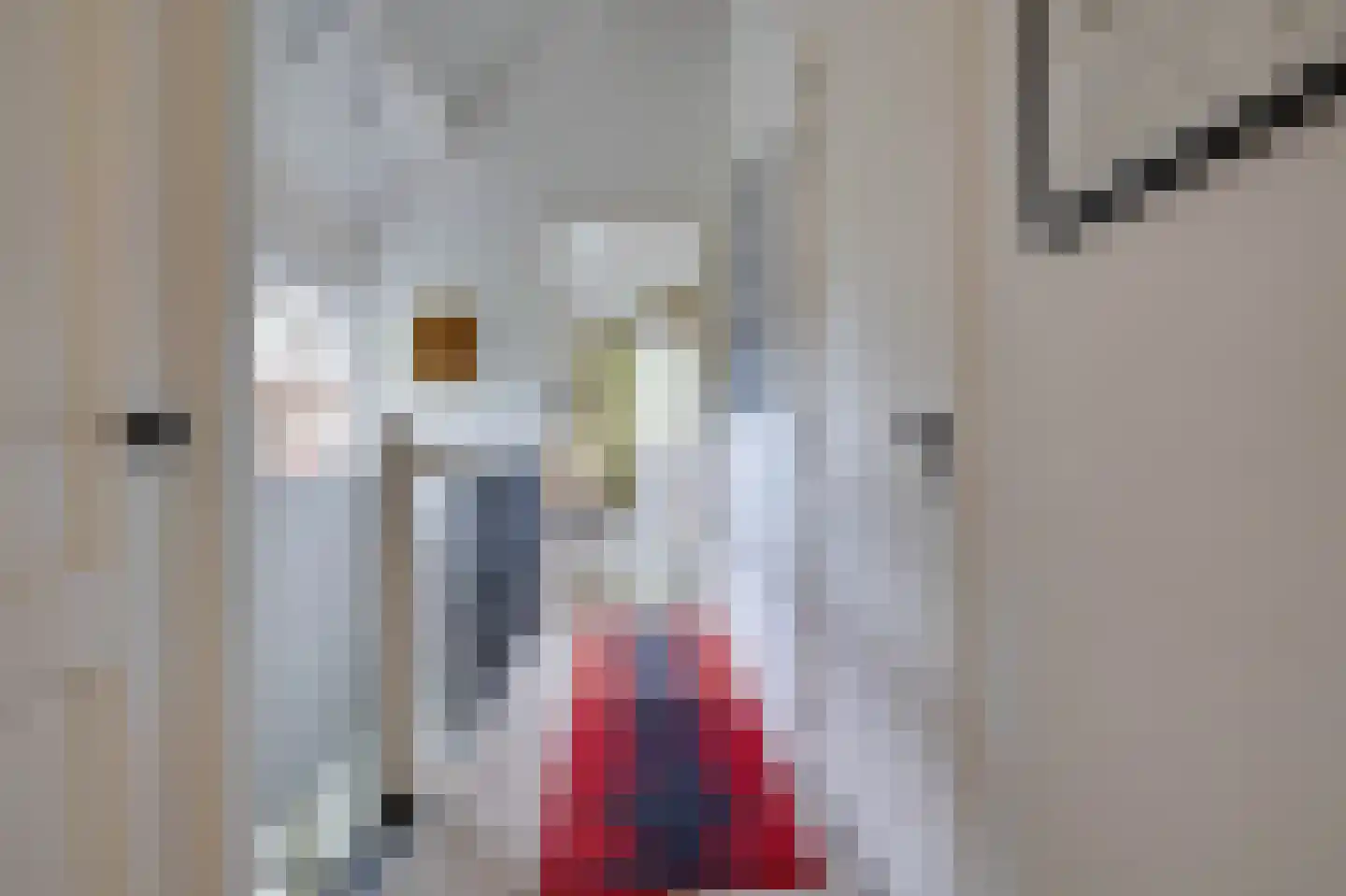 Oostdijkseweg 7 Goedereede thumbnail 26