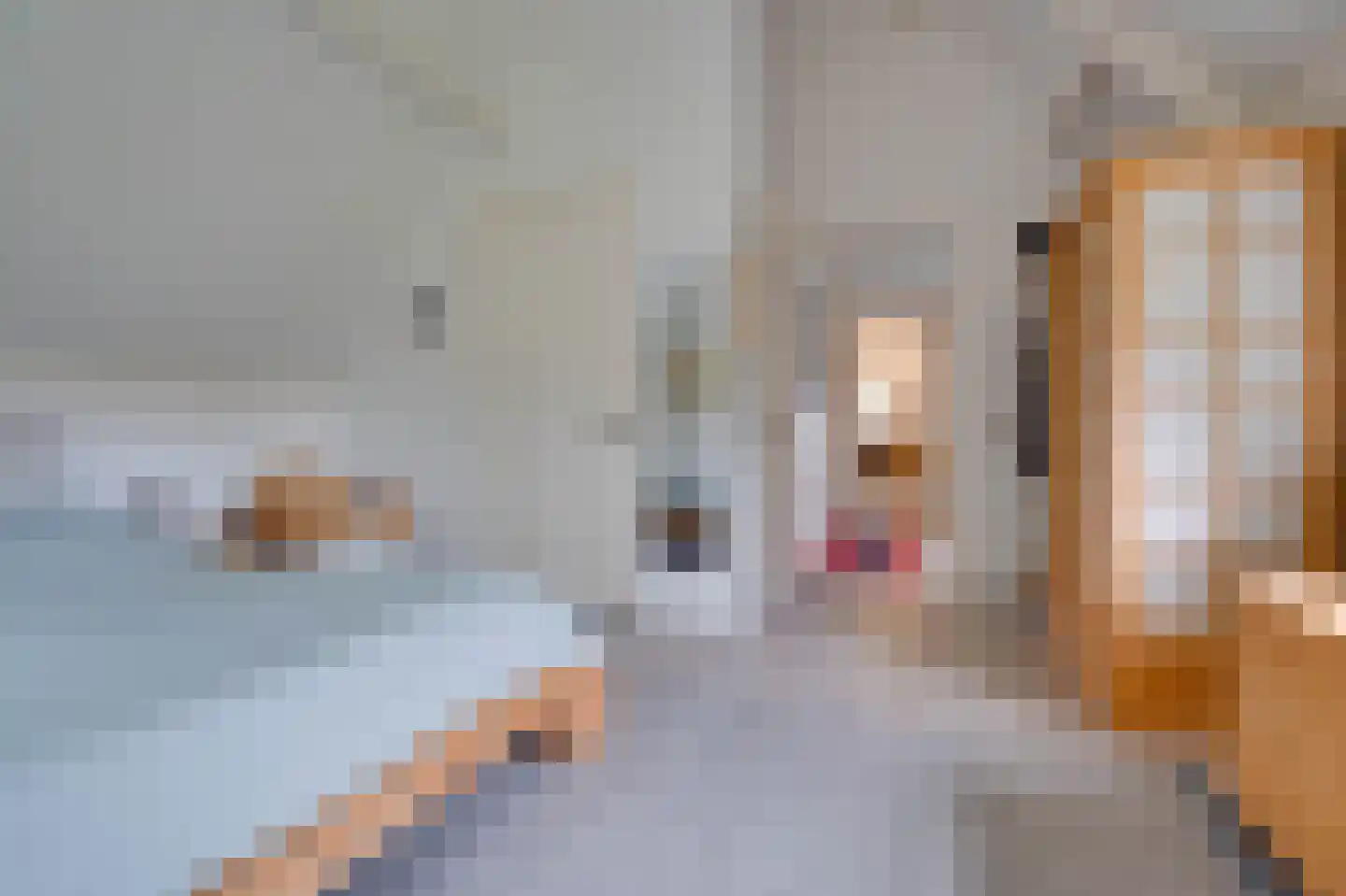 Oostdijkseweg 7 Goedereede thumbnail 29