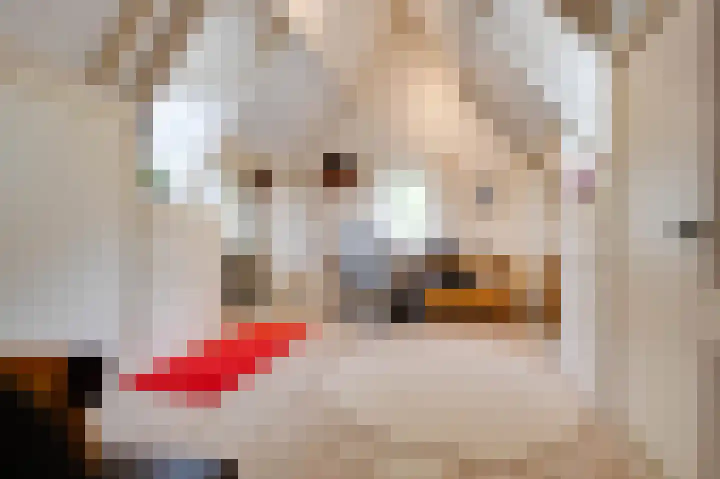 Oostdijkseweg 7 Goedereede thumbnail 31