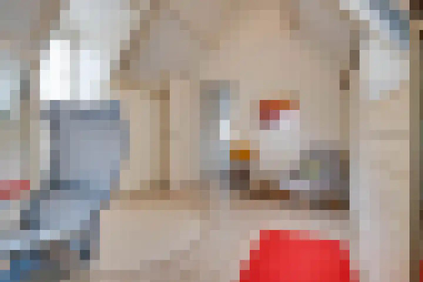 Oostdijkseweg 7 Goedereede thumbnail 32