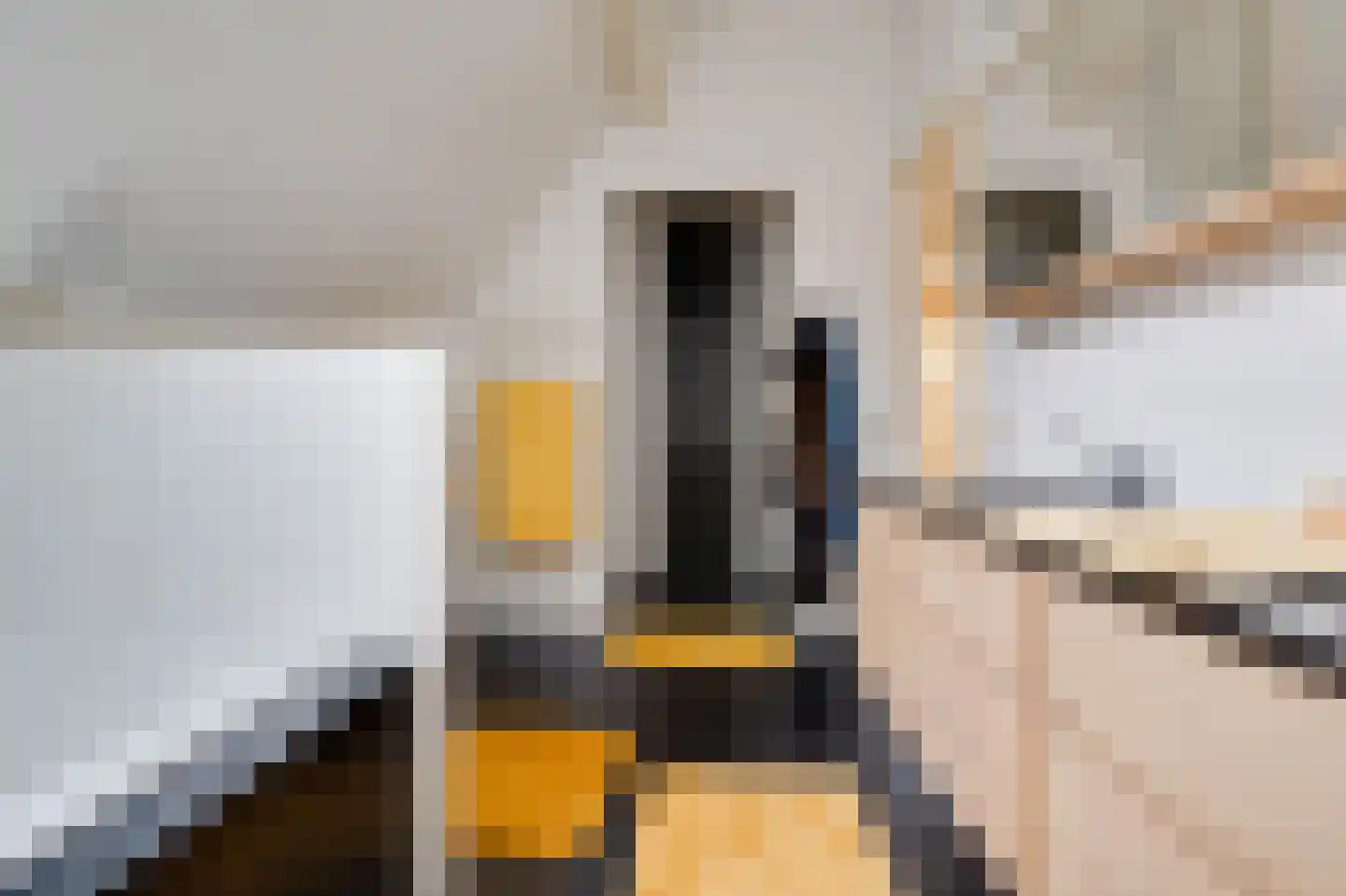Oostdijkseweg 7 Goedereede thumbnail 33