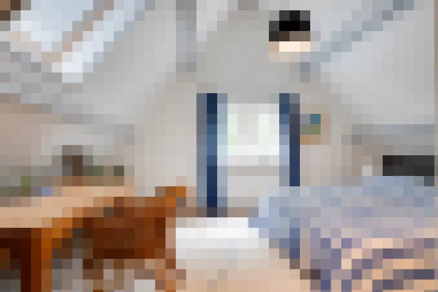 Oostdijkseweg 7 Goedereede thumbnail 36