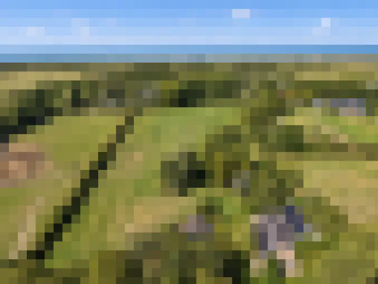 Oostdijkseweg 7 Goedereede thumbnail 4