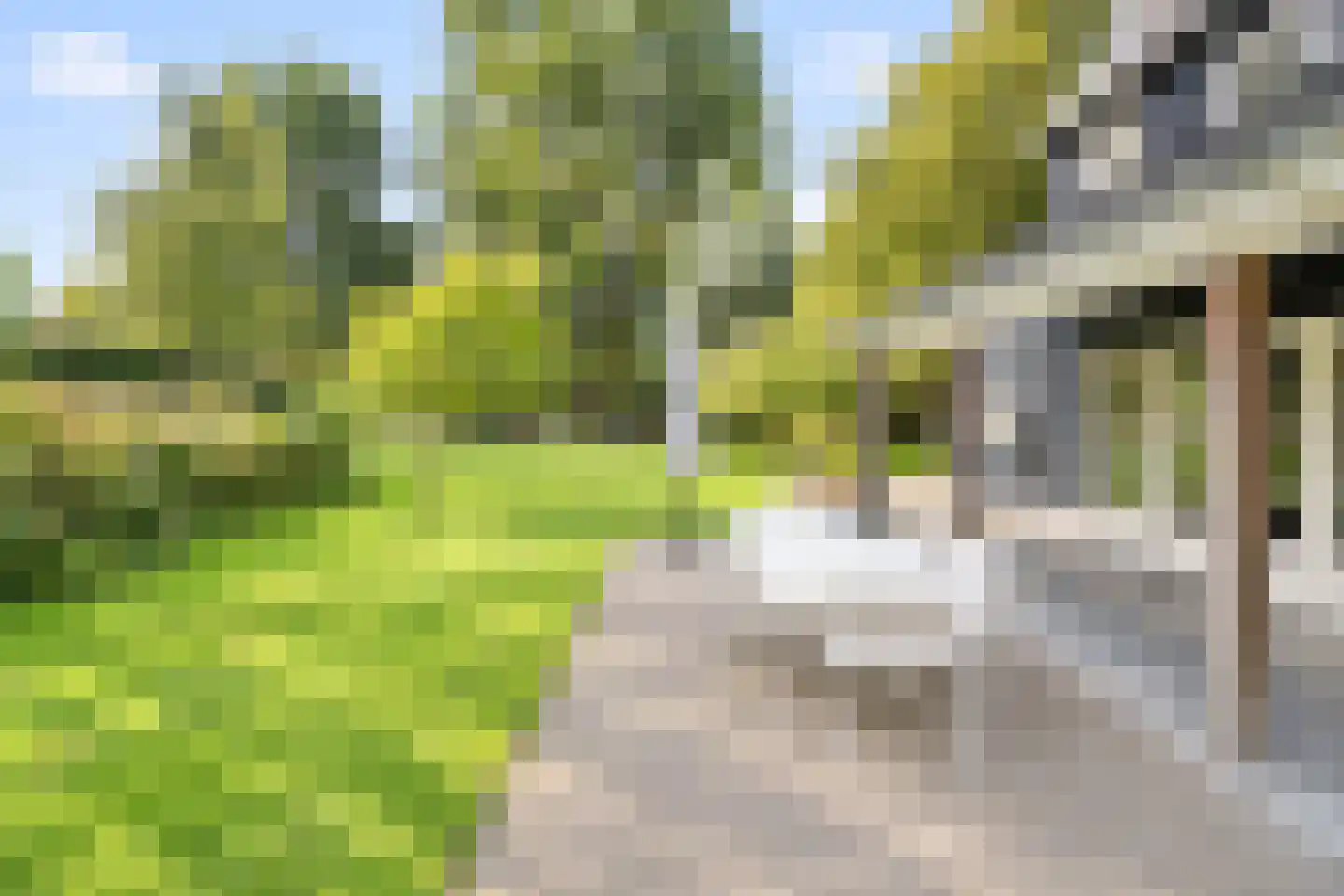 Oostdijkseweg 7 Goedereede thumbnail 48