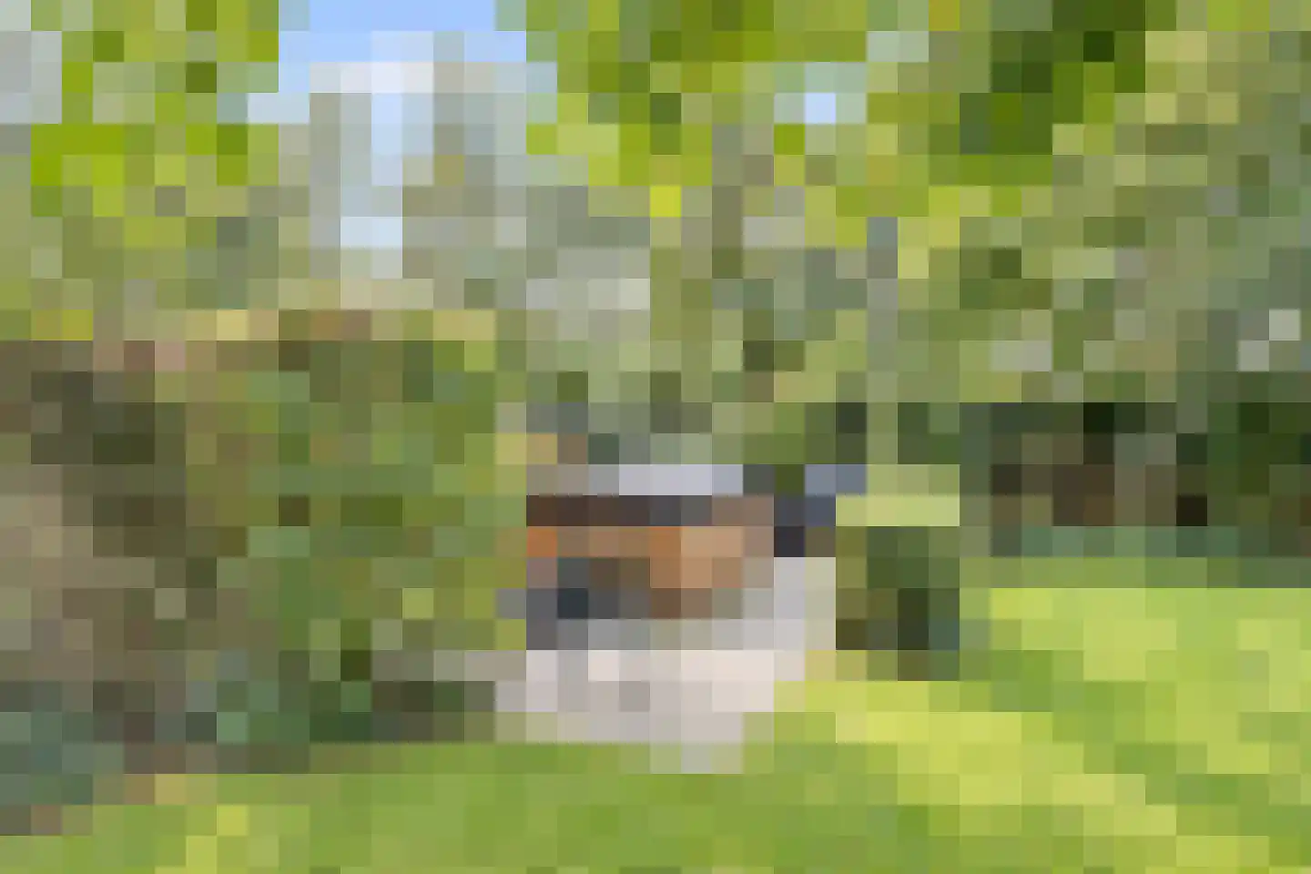 Oostdijkseweg 7 Goedereede thumbnail 49