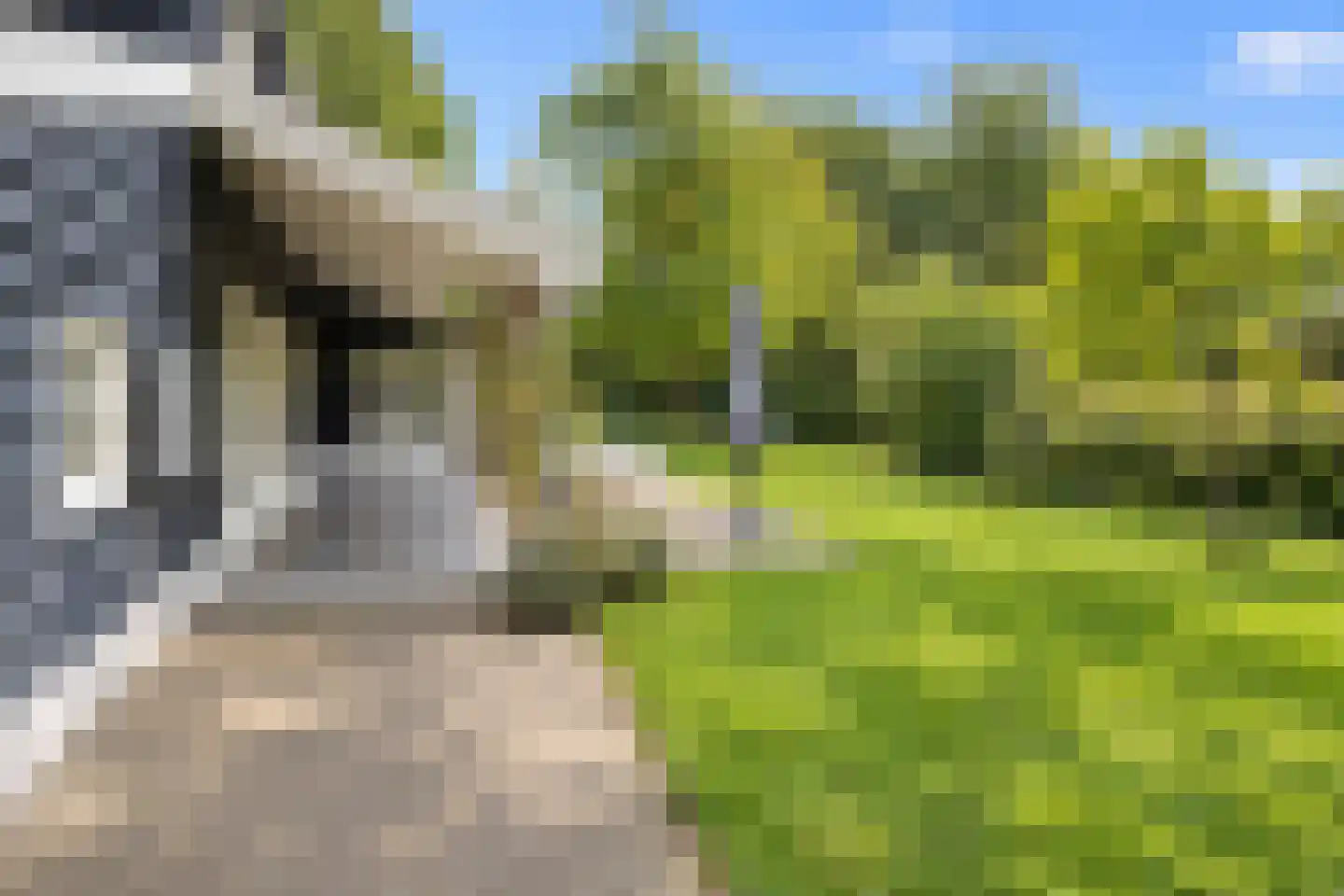 Oostdijkseweg 7 Goedereede thumbnail 50