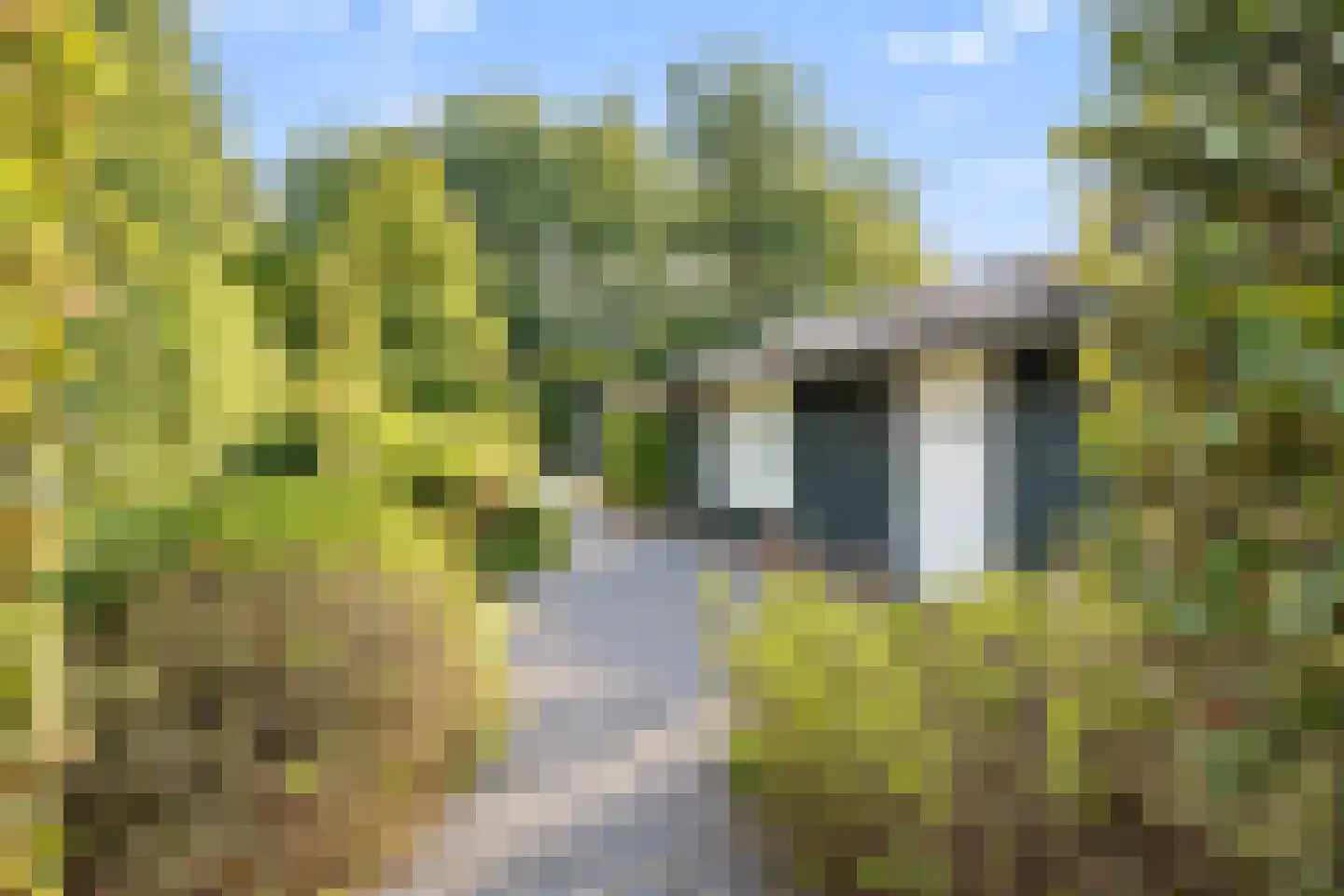 Oostdijkseweg 7 Goedereede thumbnail 53