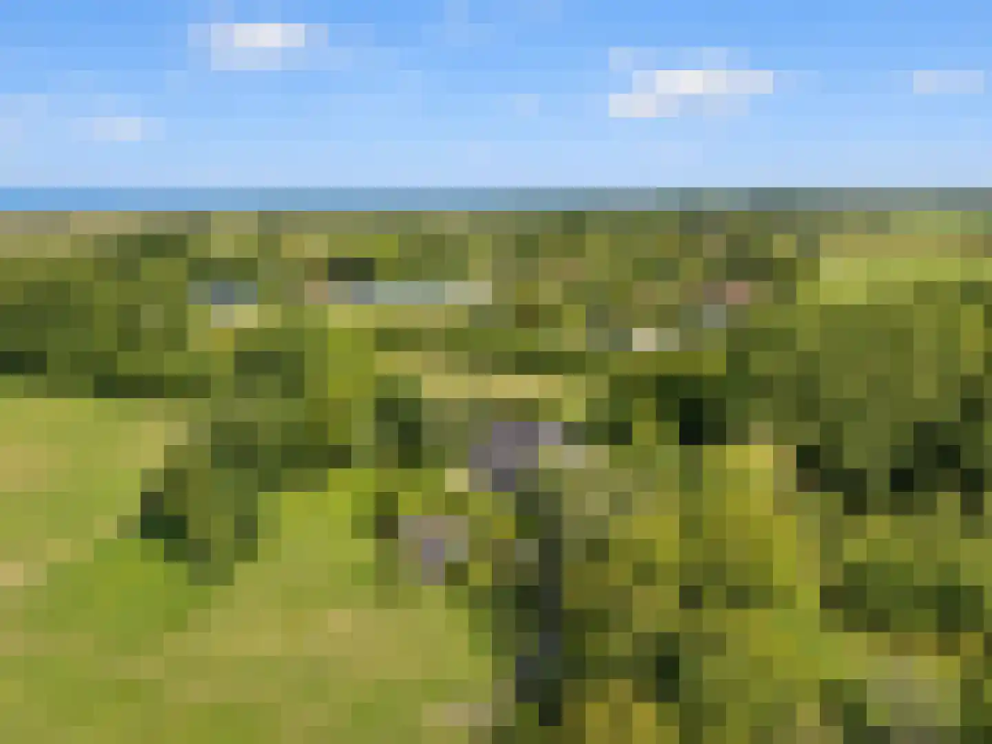 Oostdijkseweg 7 Goedereede thumbnail 55