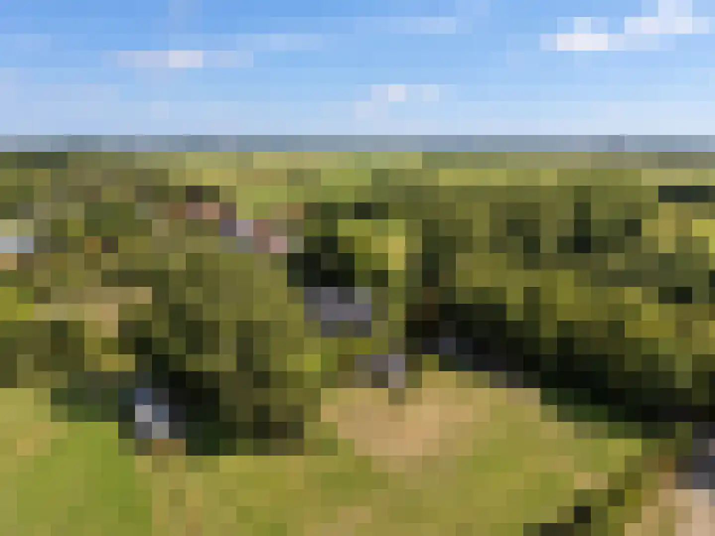 Oostdijkseweg 7 Goedereede thumbnail 56