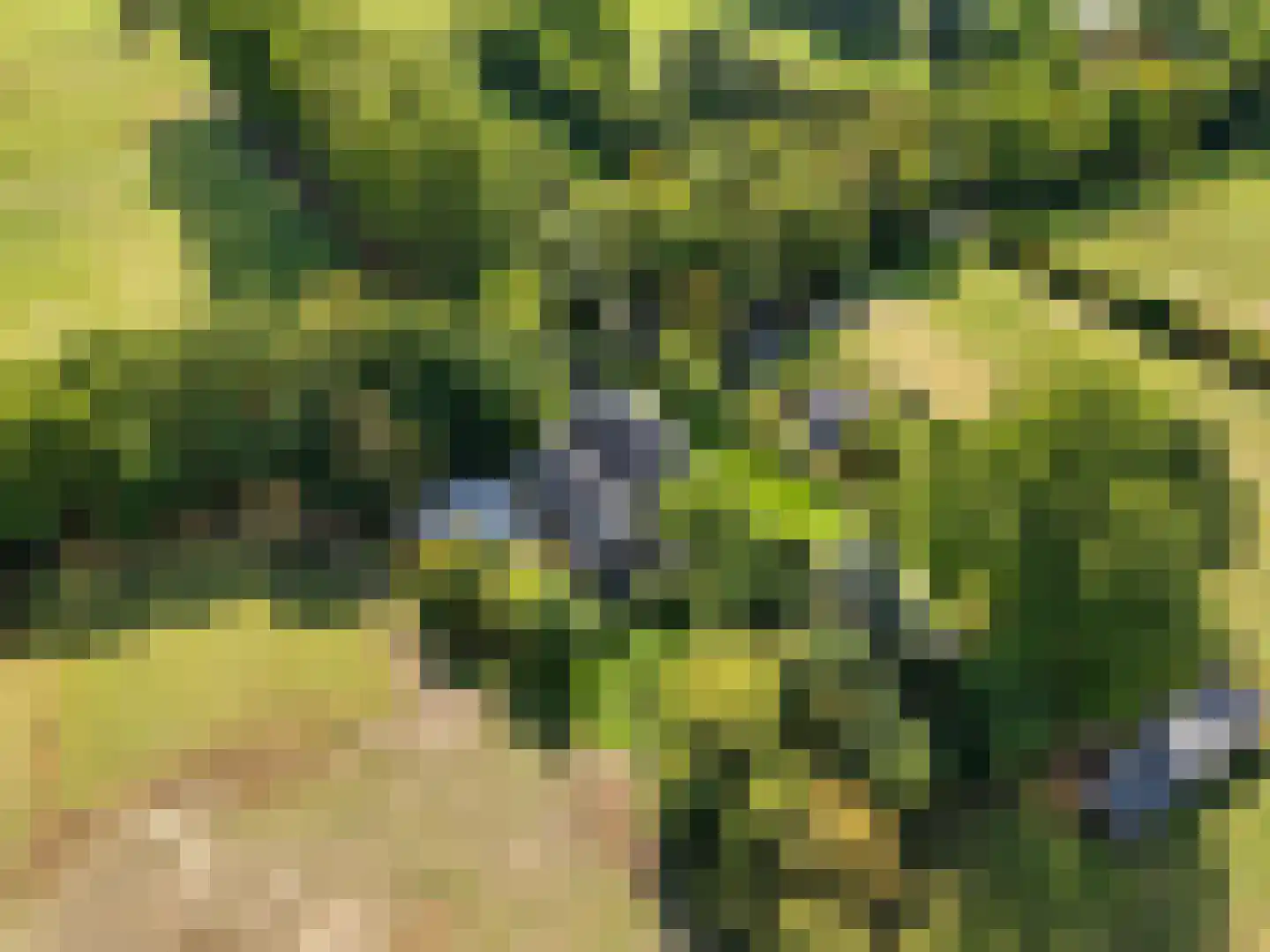 Oostdijkseweg 7 Goedereede thumbnail 57