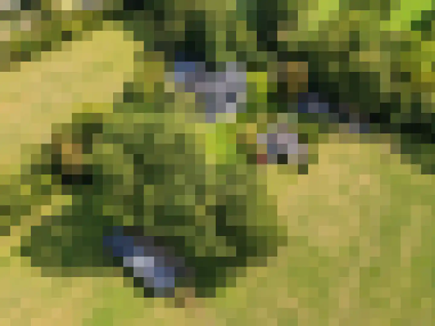 Oostdijkseweg 7 Goedereede thumbnail 58