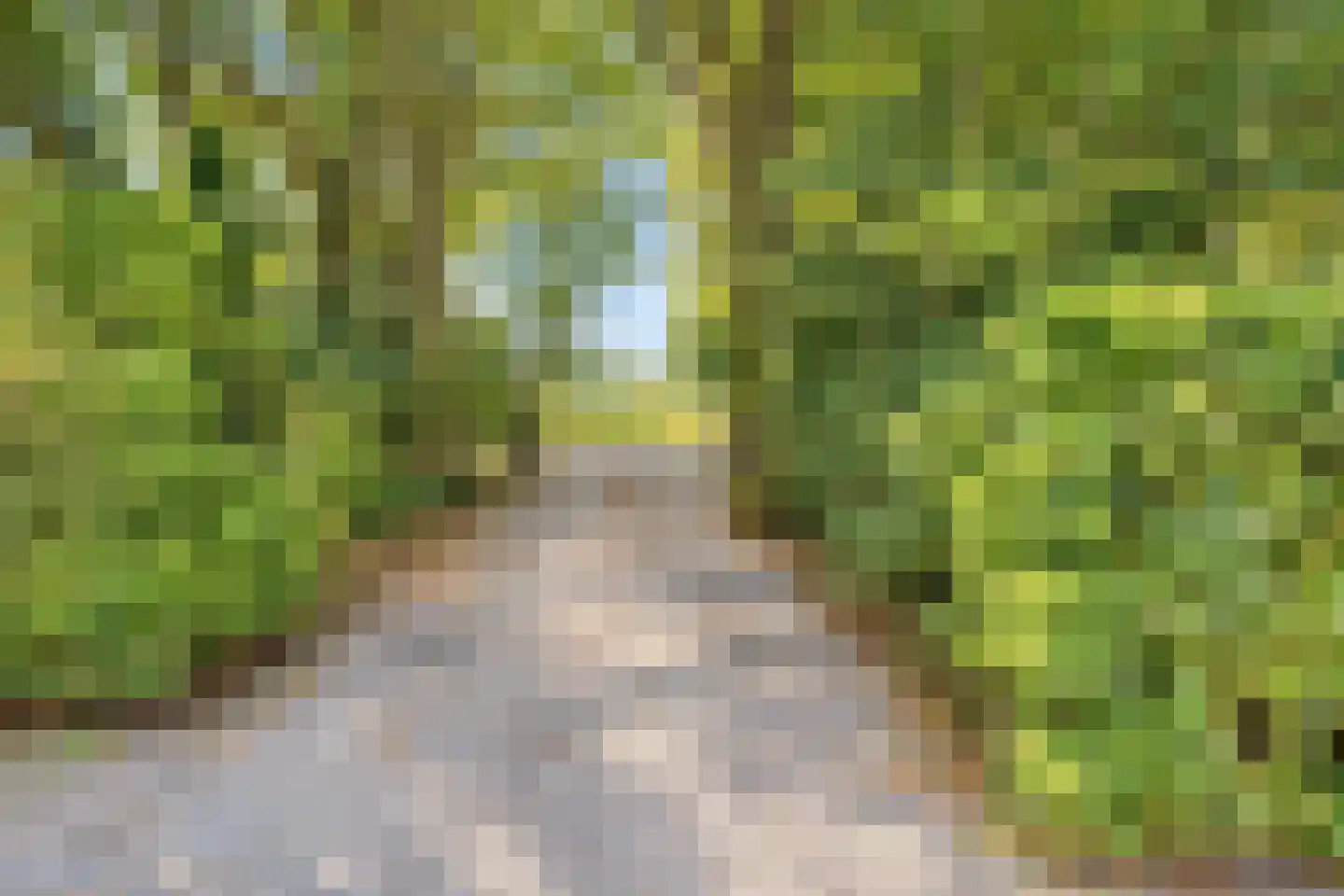 Oostdijkseweg 7 Goedereede thumbnail 60
