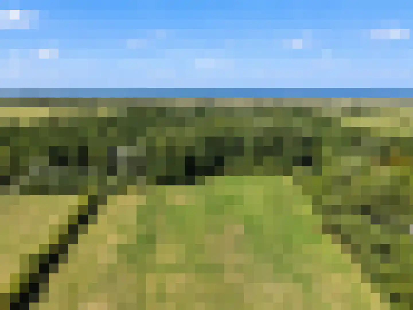 Oostdijkseweg 7 Goedereede thumbnail 61