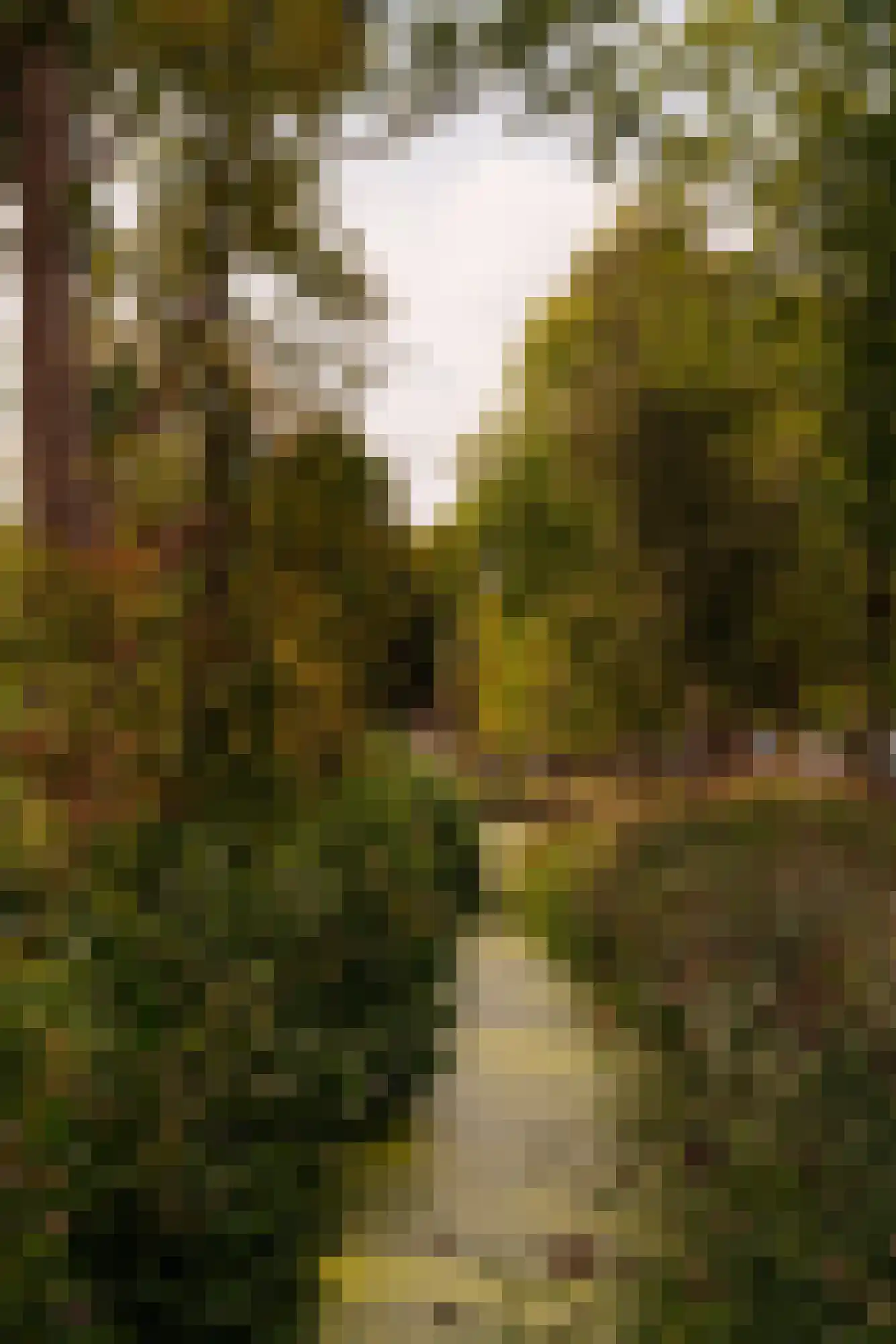Oostdorperweg 165 Wassenaar thumbnail 49