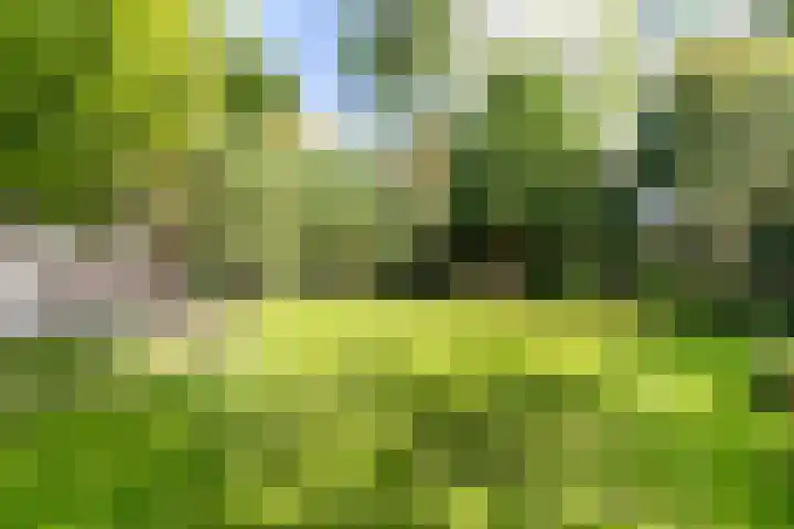 Oostdorperweg 202 Wassenaar thumbnail 22