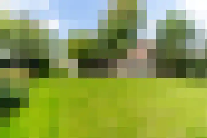 Oostdorperweg 202 Wassenaar thumbnail 24
