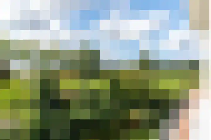 Oostdorperweg 202 Wassenaar thumbnail 36