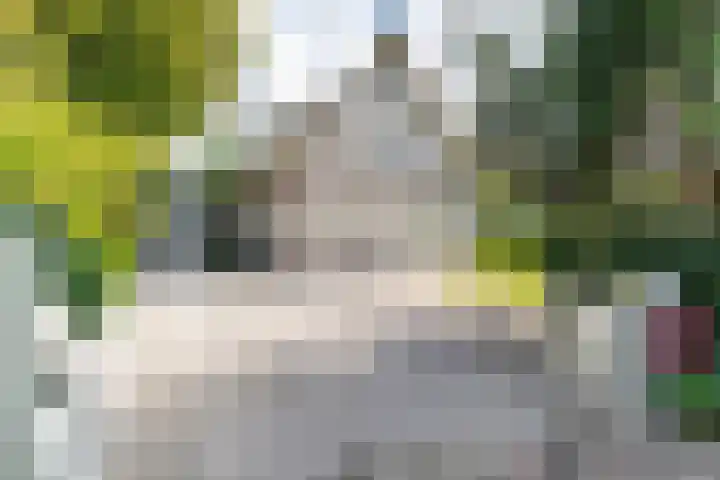 Oostdorperweg 202 Wassenaar thumbnail 4