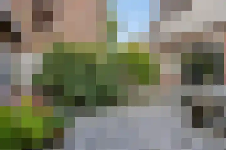 Oostdorperweg 64 Wassenaar thumbnail 5