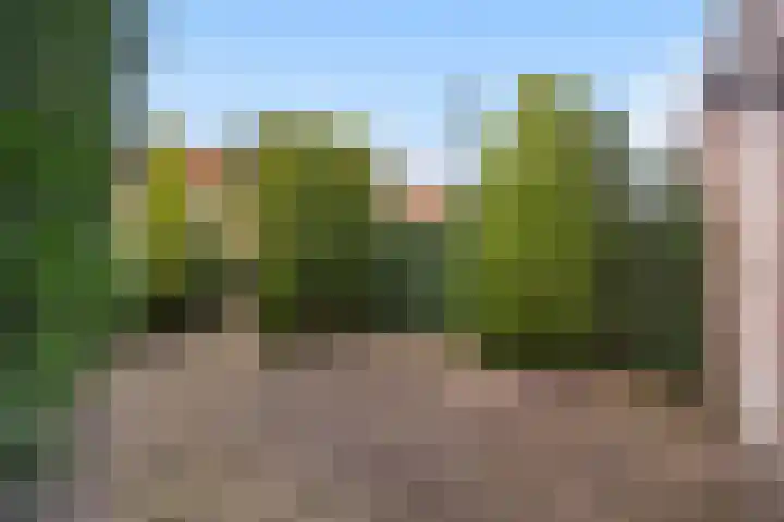 Oostdorperweg 73 Wassenaar thumbnail 5
