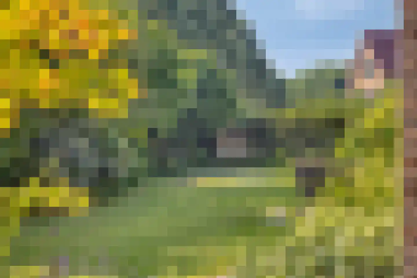 Oostdorpseweg 47 Poortugaal thumbnail 30