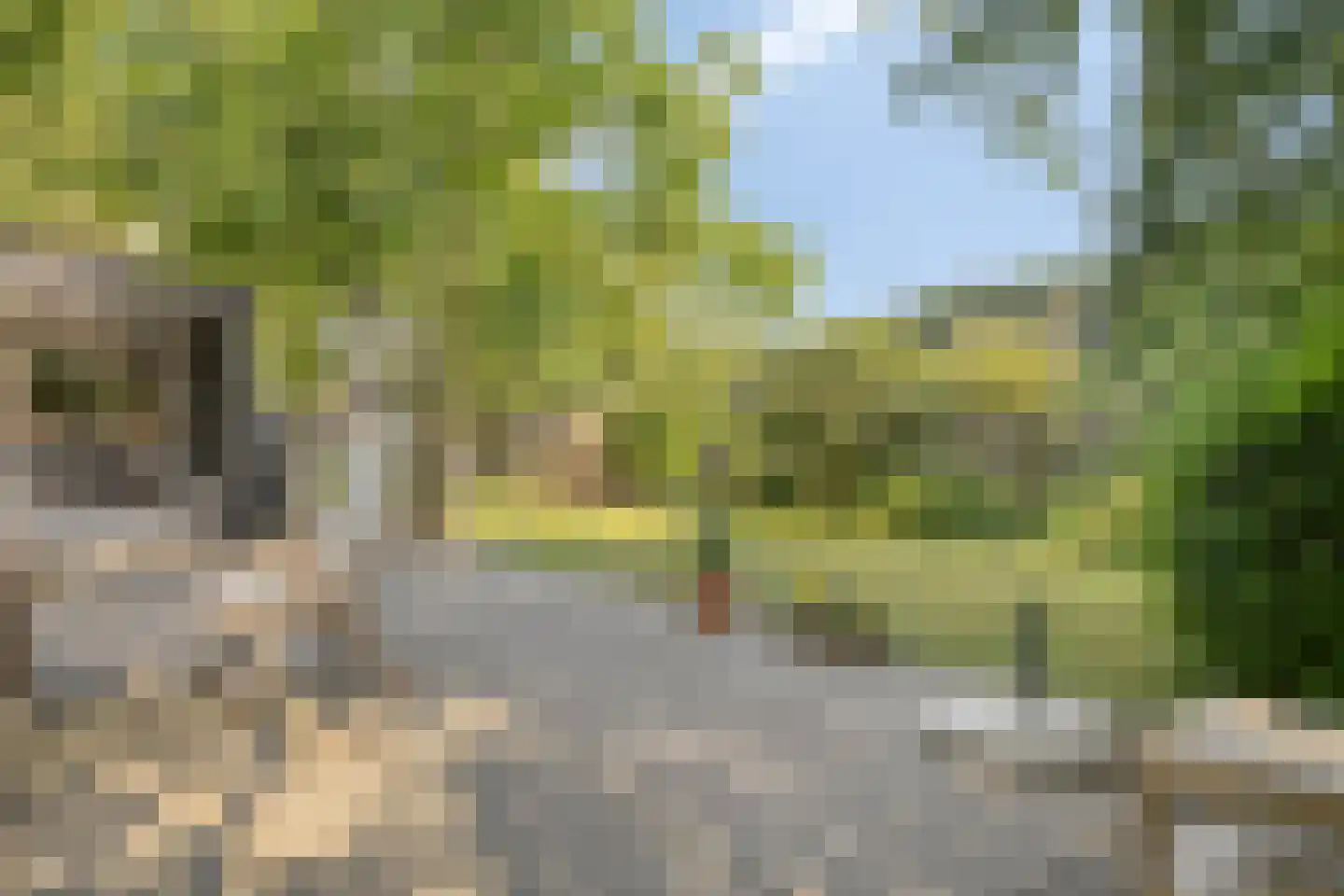 Oostdorpseweg 47 Poortugaal thumbnail 32