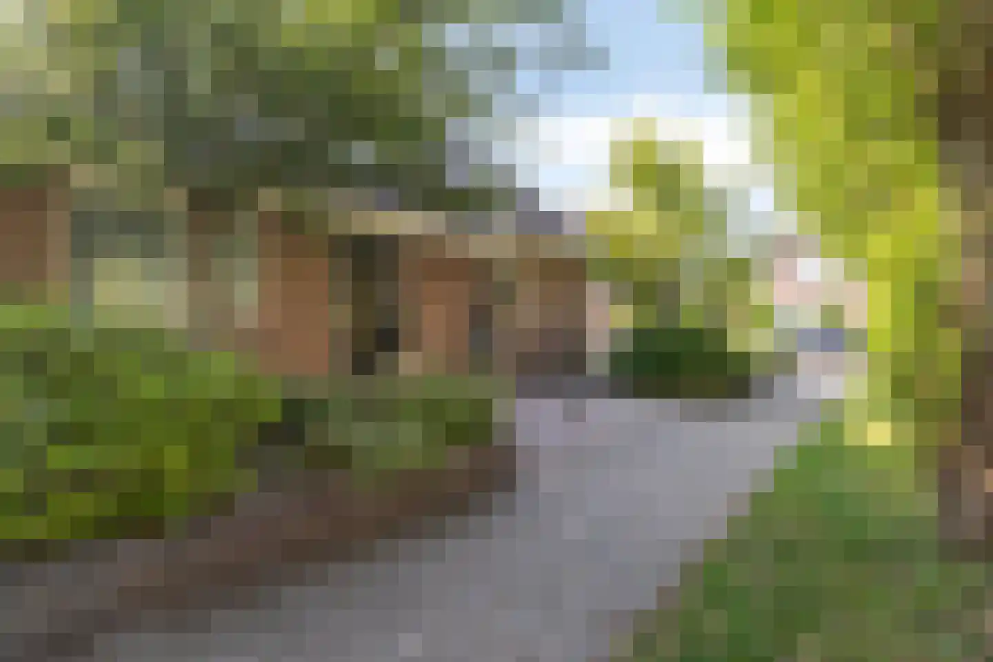 Oostdorpseweg 47 Poortugaal thumbnail 37