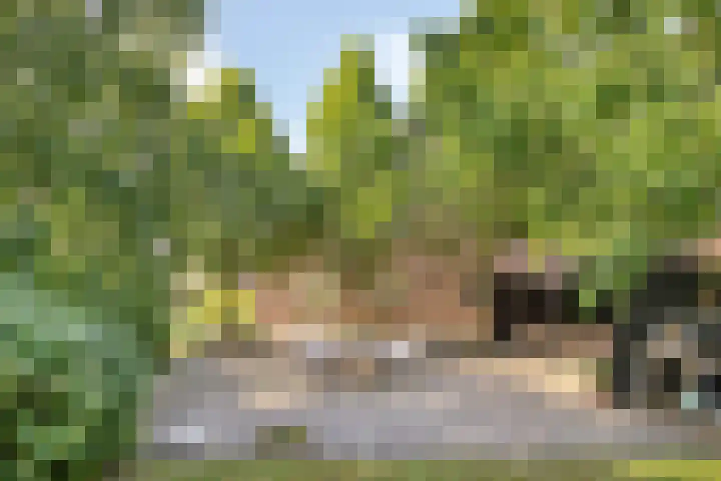 Oostdorpseweg 47 Poortugaal thumbnail 4