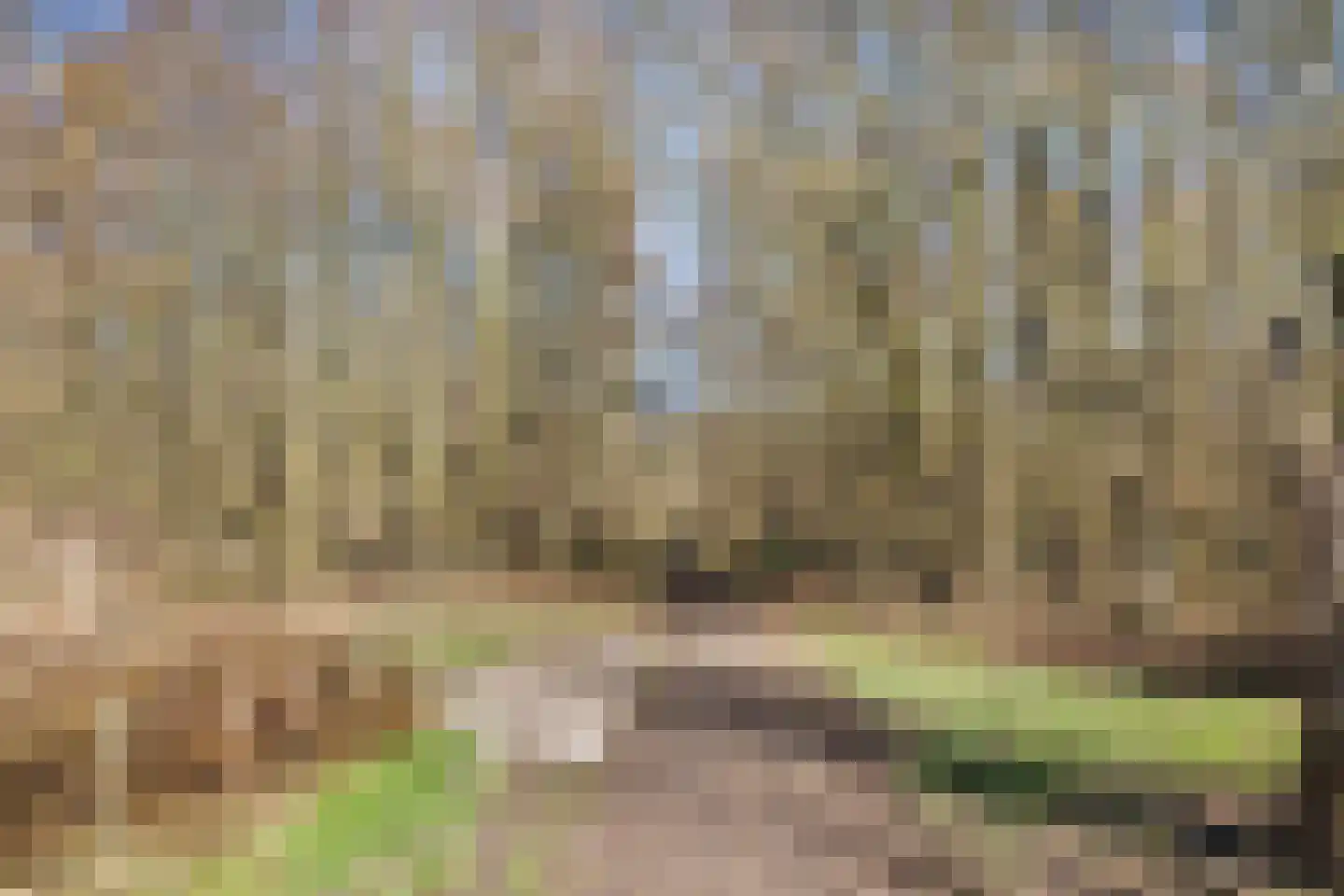 Oostdorpseweg 47 Poortugaal thumbnail 74