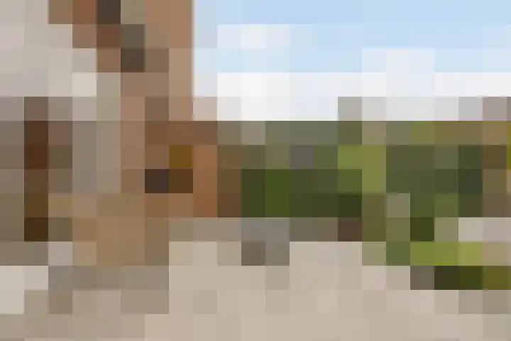 Oostdorpseweg 62 Poortugaal thumbnail 41
