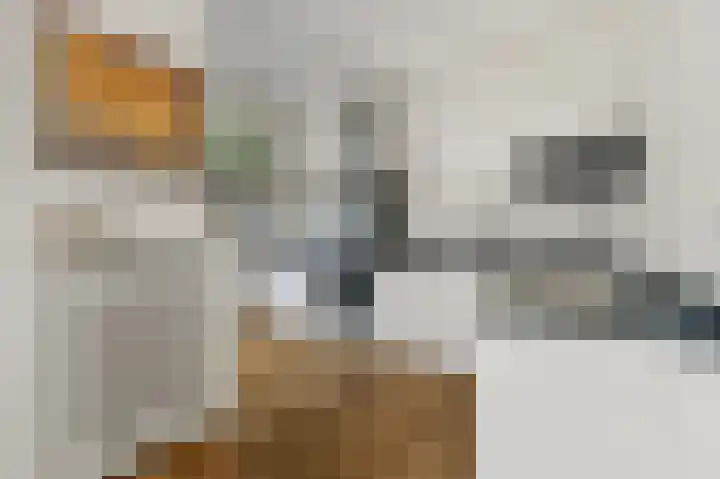 Oostduinlaan 145 Den Haag thumbnail 15