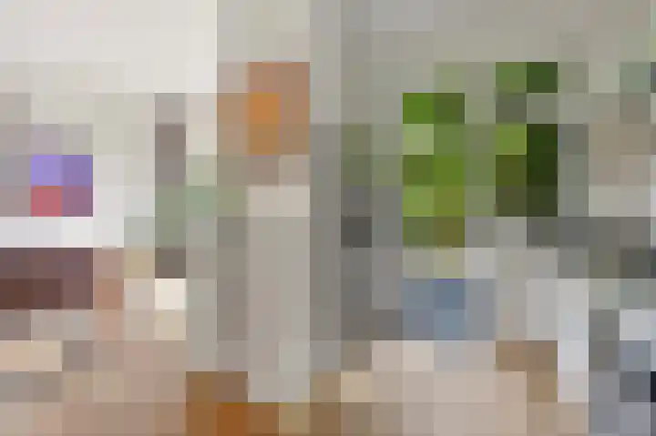 Oostduinlaan 145 Den Haag thumbnail 17