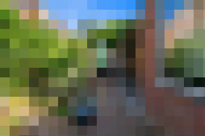 Oostduinlaan 145 Den Haag thumbnail 22