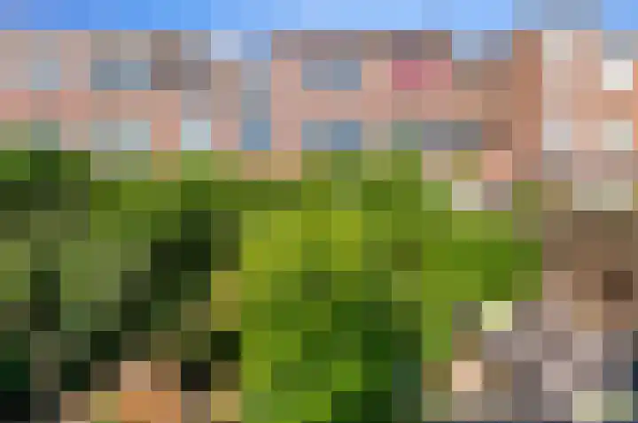 Oostduinlaan 145 Den Haag thumbnail 24